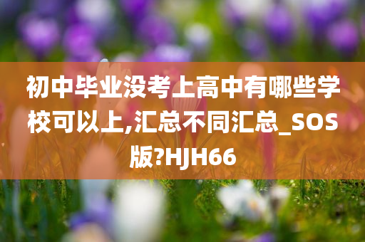 初中毕业没考上高中有哪些学校可以上,汇总不同汇总_SOS版?HJH66