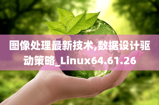 图像处理最新技术,数据设计驱动策略_Linux64.61.26