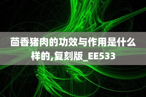 茴香猪肉的功效与作用是什么样的,复刻版_EE533