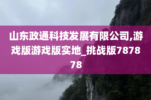 山东政通科技发展有限公司,游戏版游戏版实地_挑战版787878