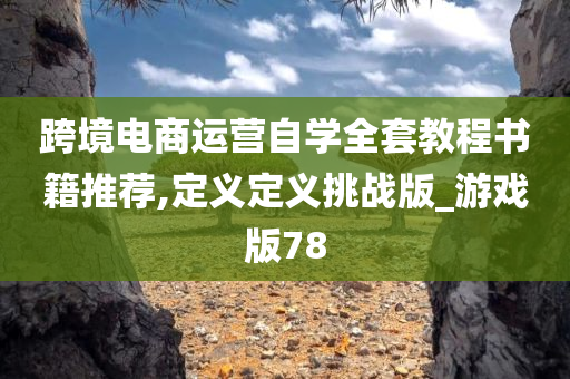 跨境电商运营自学全套教程书籍推荐,定义定义挑战版_游戏版78