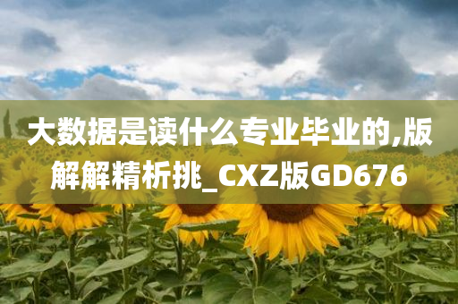 大数据是读什么专业毕业的,版解解精析挑_CXZ版GD676