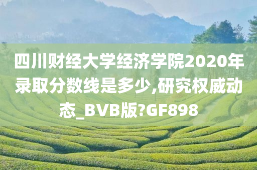 四川财经大学经济学院2020年录取分数线是多少,研究权威动态_BVB版?GF898