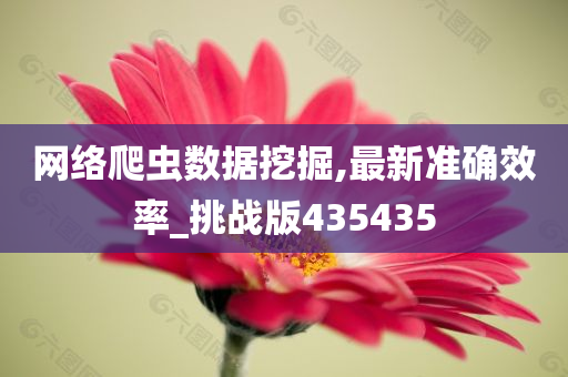 网络爬虫数据挖掘,最新准确效率_挑战版435435