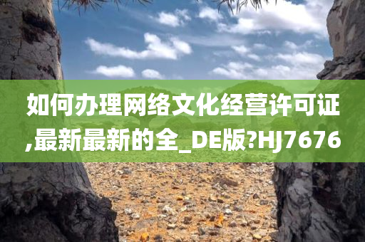 如何办理网络文化经营许可证,最新最新的全_DE版?HJ7676