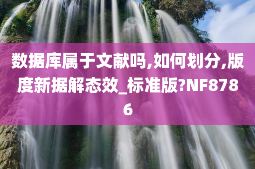 数据库属于文献吗,如何划分,版度新据解态效_标准版?NF8786