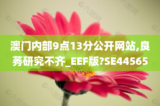 澳门内部9点13分公开网站,良莠研究不齐_EEF版?SE44565