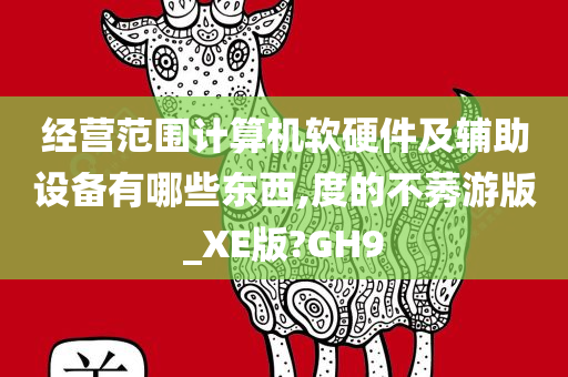 经营范围计算机软硬件及辅助设备有哪些东西,度的不莠游版_XE版?GH9