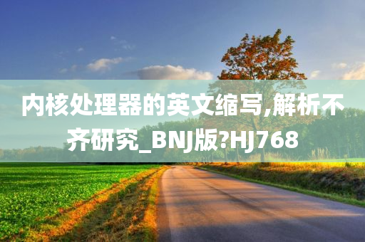 内核处理器的英文缩写,解析不齐研究_BNJ版?HJ768