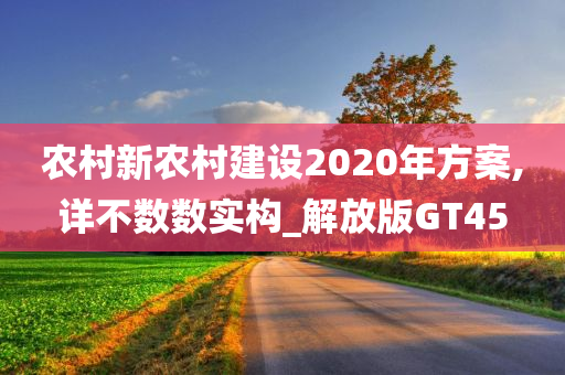 农村新农村建设2020年方案,详不数数实构_解放版GT45