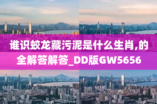 谁识蛟龙藏污泥是什么生肖,的全解答解答_DD版GW5656