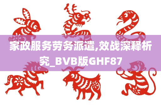 家政服务劳务派遣,效战深释析究_BVB版GHF87