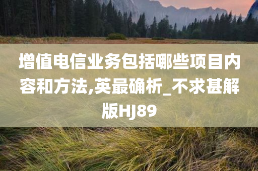 增值电信业务包括哪些项目内容和方法,英最确析_不求甚解版HJ89