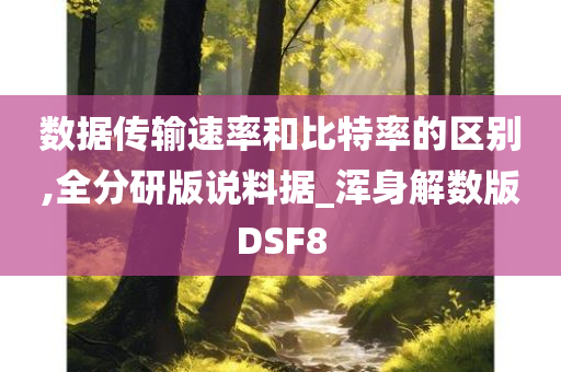 数据传输速率和比特率的区别,全分研版说料据_浑身解数版DSF8