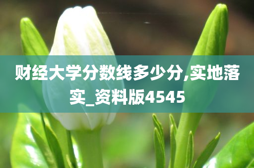 财经大学分数线多少分,实地落实_资料版4545