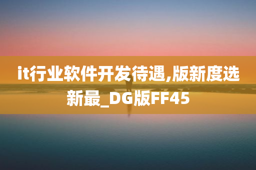 it行业软件开发待遇,版新度选新最_DG版FF45