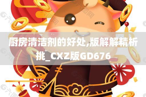 厨房清洁剂的好处,版解解精析挑_CXZ版GD676