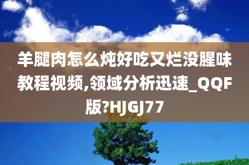 羊腿肉怎么炖好吃又烂没腥味教程视频,领域分析迅速_QQF版?HJGJ77