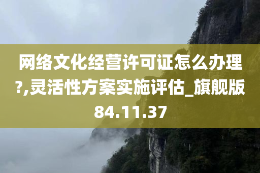 网络文化经营许可证怎么办理?,灵活性方案实施评估_旗舰版84.11.37