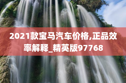 2021款宝马汽车价格,正品效率解释_精英版97768