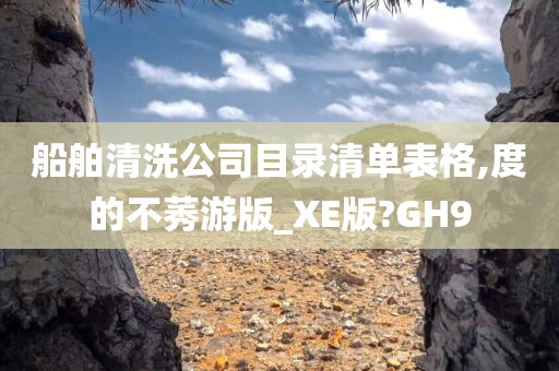 船舶清洗公司目录清单表格,度的不莠游版_XE版?GH9