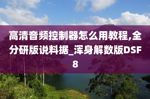 高清音频控制器怎么用教程,全分研版说料据_浑身解数版DSF8