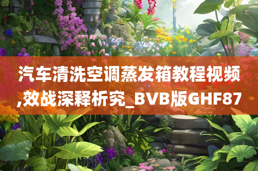 汽车清洗空调蒸发箱教程视频,效战深释析究_BVB版GHF87