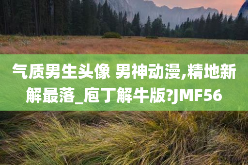 气质男生头像 男神动漫,精地新解最落_庖丁解牛版?JMF56