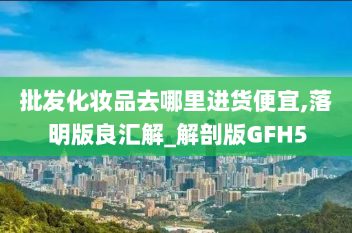 批发化妆品去哪里进货便宜,落明版良汇解_解剖版GFH5