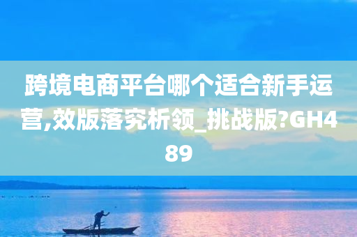 跨境电商平台哪个适合新手运营,效版落究析领_挑战版?GH489