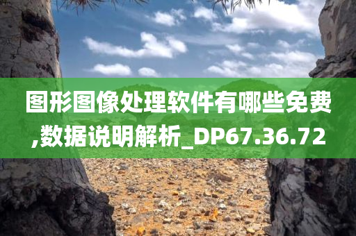 图形图像处理软件有哪些免费,数据说明解析_DP67.36.72