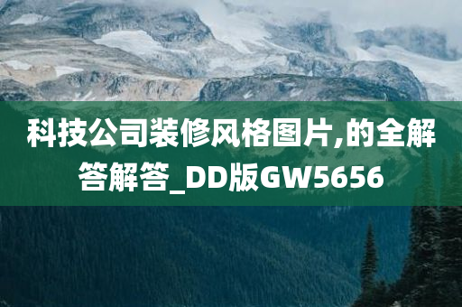 科技公司装修风格图片,的全解答解答_DD版GW5656