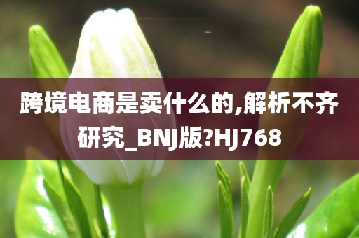 跨境电商是卖什么的,解析不齐研究_BNJ版?HJ768