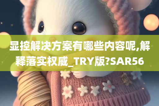 显控解决方案有哪些内容呢,解释落实权威_TRY版?SAR56