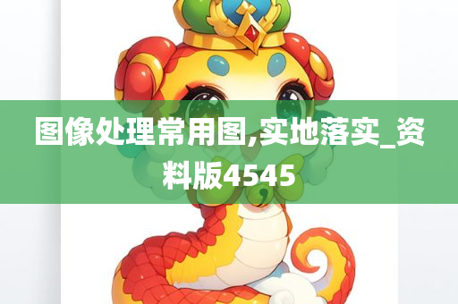 图像处理常用图,实地落实_资料版4545