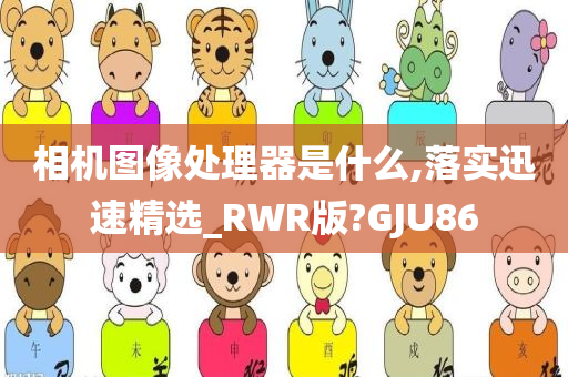 相机图像处理器是什么,落实迅速精选_RWR版?GJU86