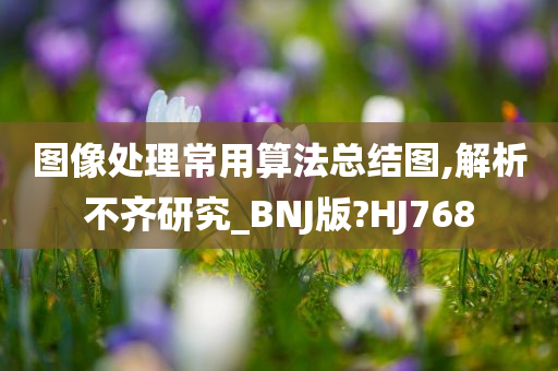 图像处理常用算法总结图,解析不齐研究_BNJ版?HJ768