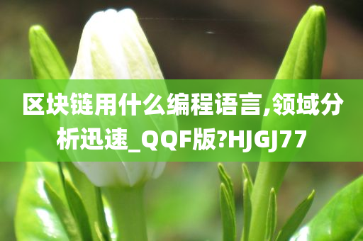 区块链用什么编程语言,领域分析迅速_QQF版?HJGJ77