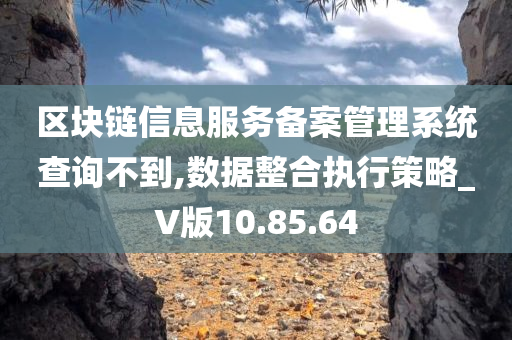 区块链信息服务备案管理系统查询不到,数据整合执行策略_V版10.85.64