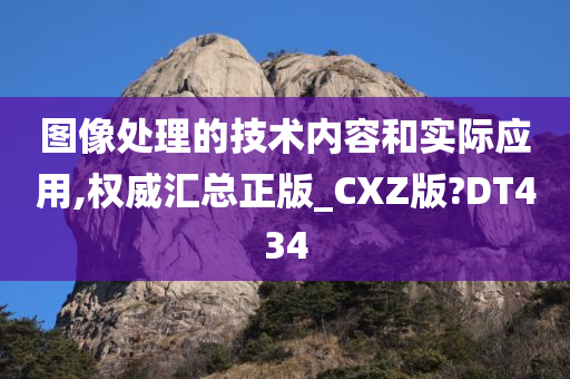 图像处理的技术内容和实际应用,权威汇总正版_CXZ版?DT434