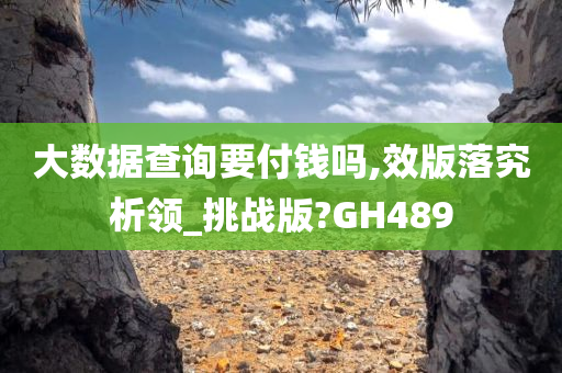 大数据查询要付钱吗,效版落究析领_挑战版?GH489