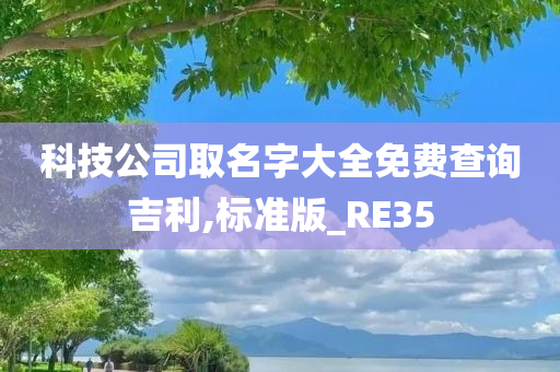 科技公司取名字大全免费查询吉利,标准版_RE35