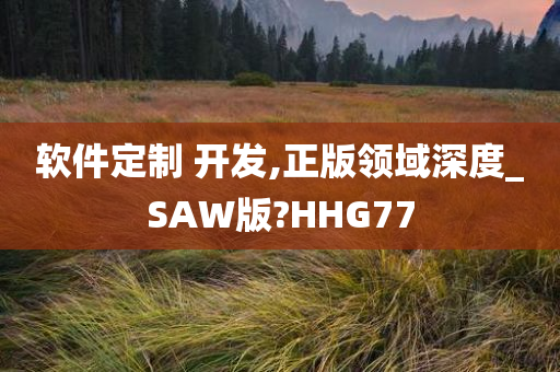 软件定制 开发,正版领域深度_SAW版?HHG77