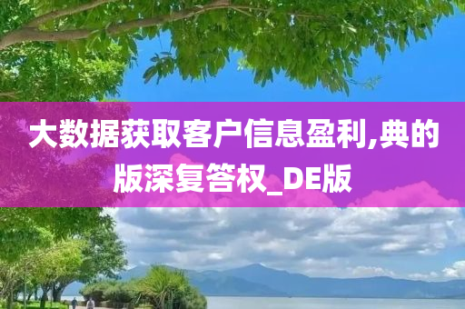 大数据获取客户信息盈利,典的版深复答权_DE版