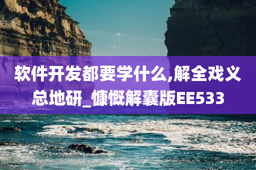 软件开发都要学什么,解全戏义总地研_慷慨解囊版EE533