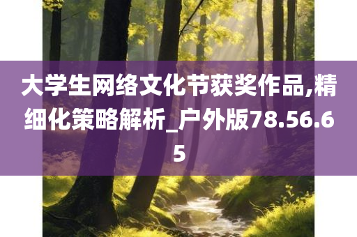 大学生网络文化节获奖作品,精细化策略解析_户外版78.56.65