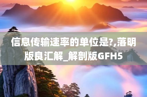 信息传输速率的单位是?,落明版良汇解_解剖版GFH5