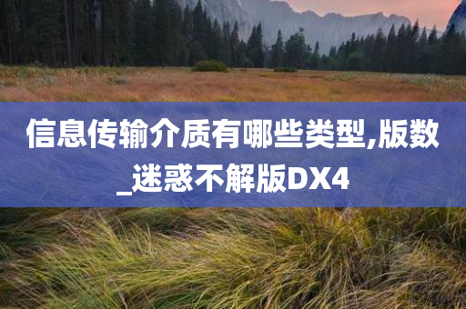 信息传输介质有哪些类型,版数_迷惑不解版DX4