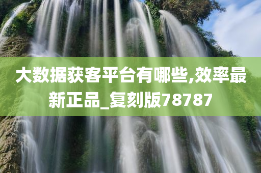 大数据获客平台有哪些,效率最新正品_复刻版78787