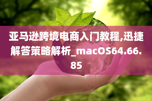 亚马逊跨境电商入门教程,迅捷解答策略解析_macOS64.66.85